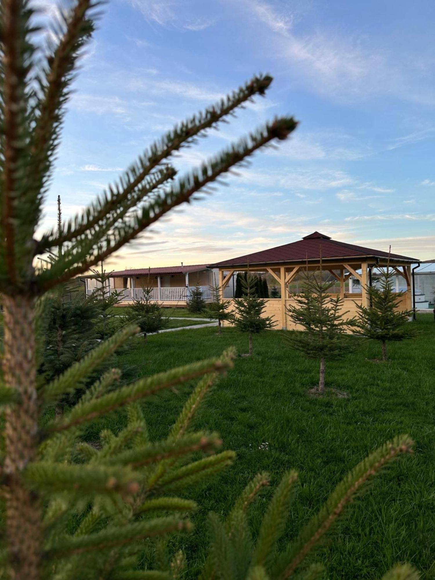 Domki Nad Sanem Bachorzec Dubiecko Εξωτερικό φωτογραφία